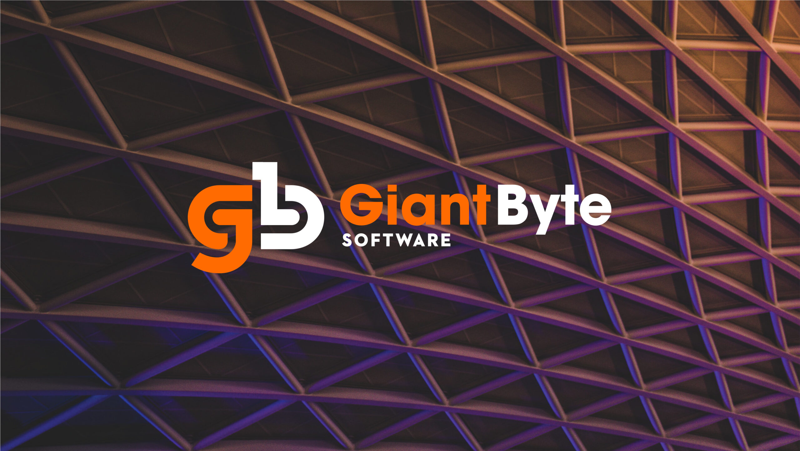 Software development case studies — GiantByte client success stories and project portfolios